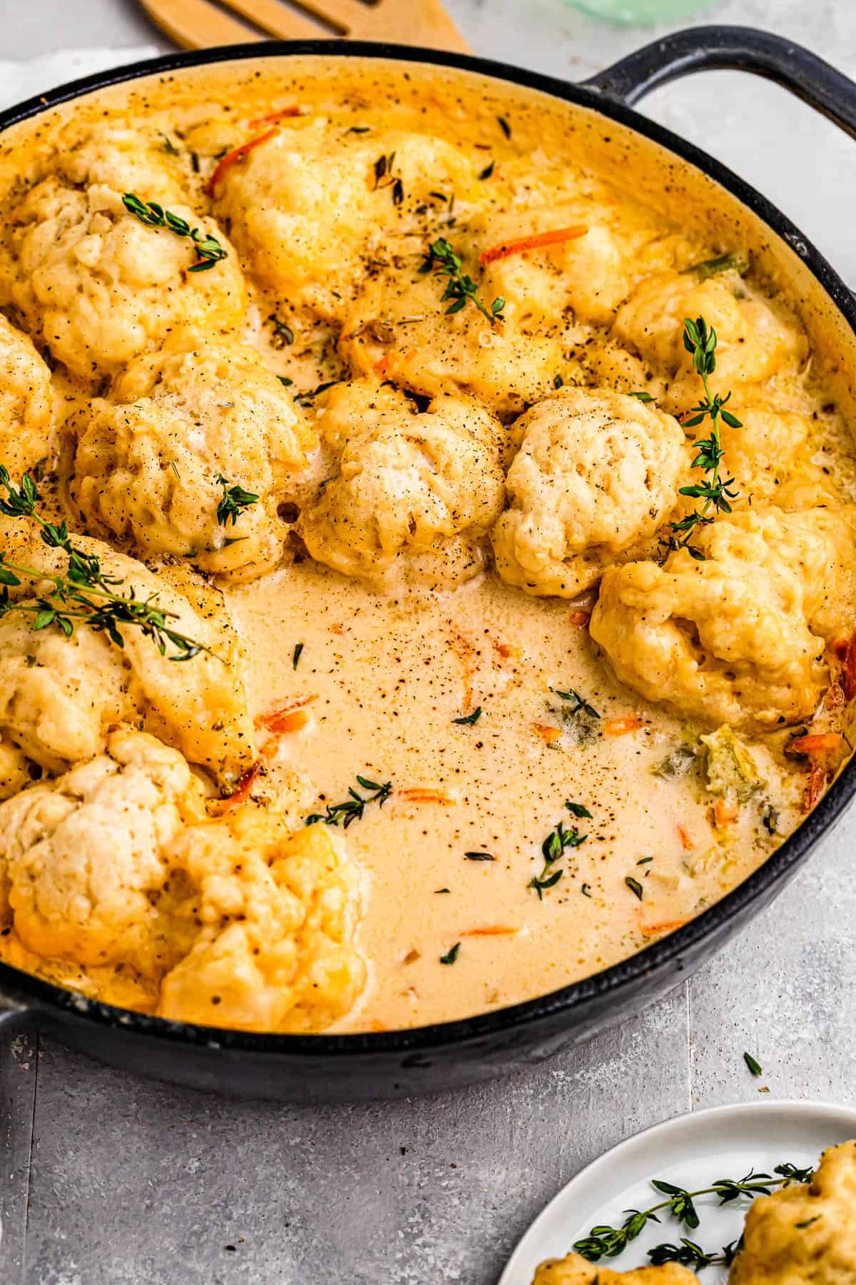 dutch oven with chicken and dumplings