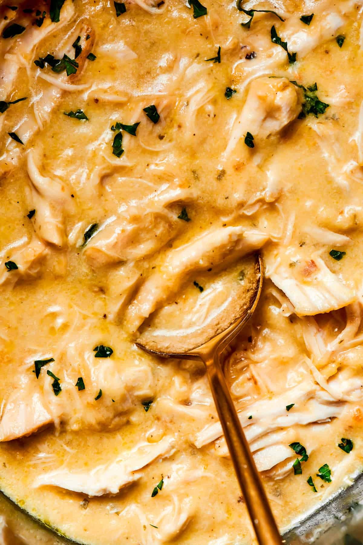 Spoon stirring through creamy sauce and shredded chicken.