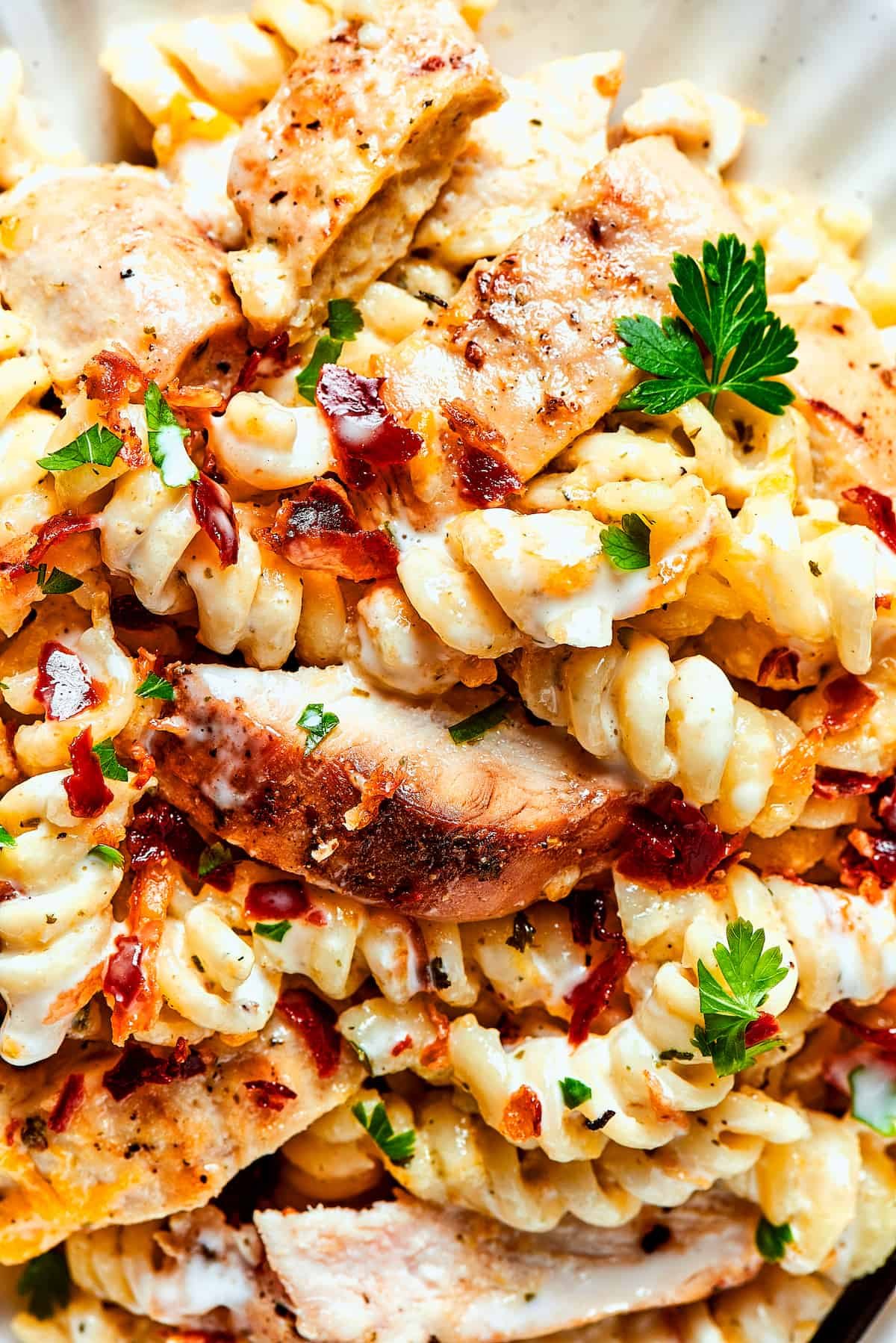 Close-up shot of a pasta dinner garnished with parsley.