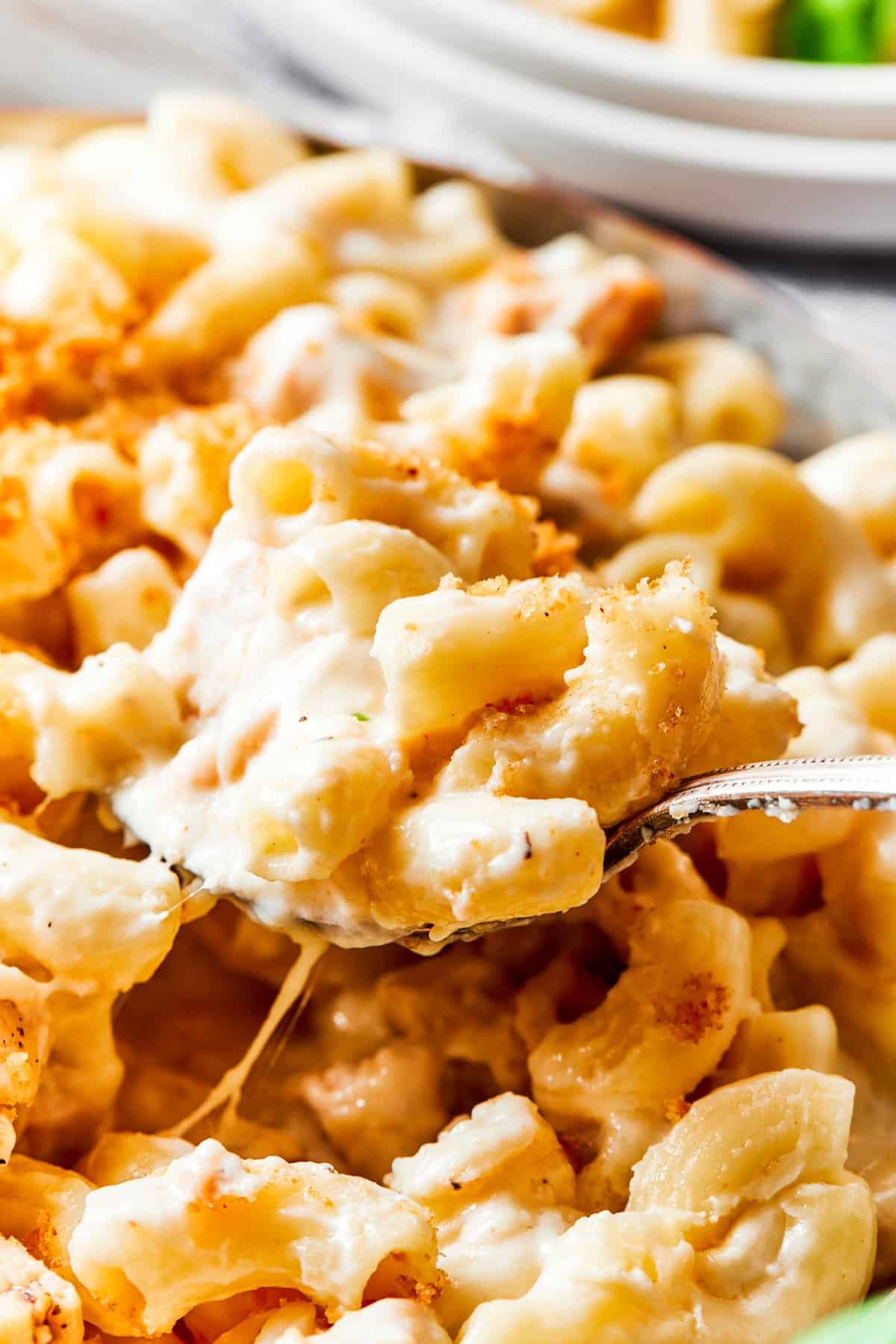 A spoon lifting up Chicken Mac and Cheese.