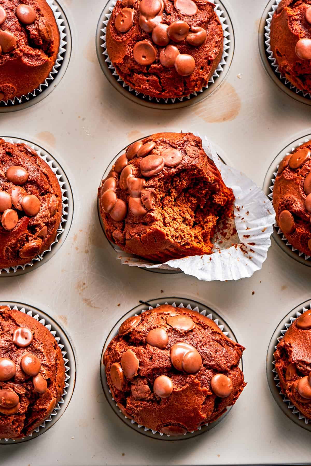 Chocolate muffins in muffin liners.