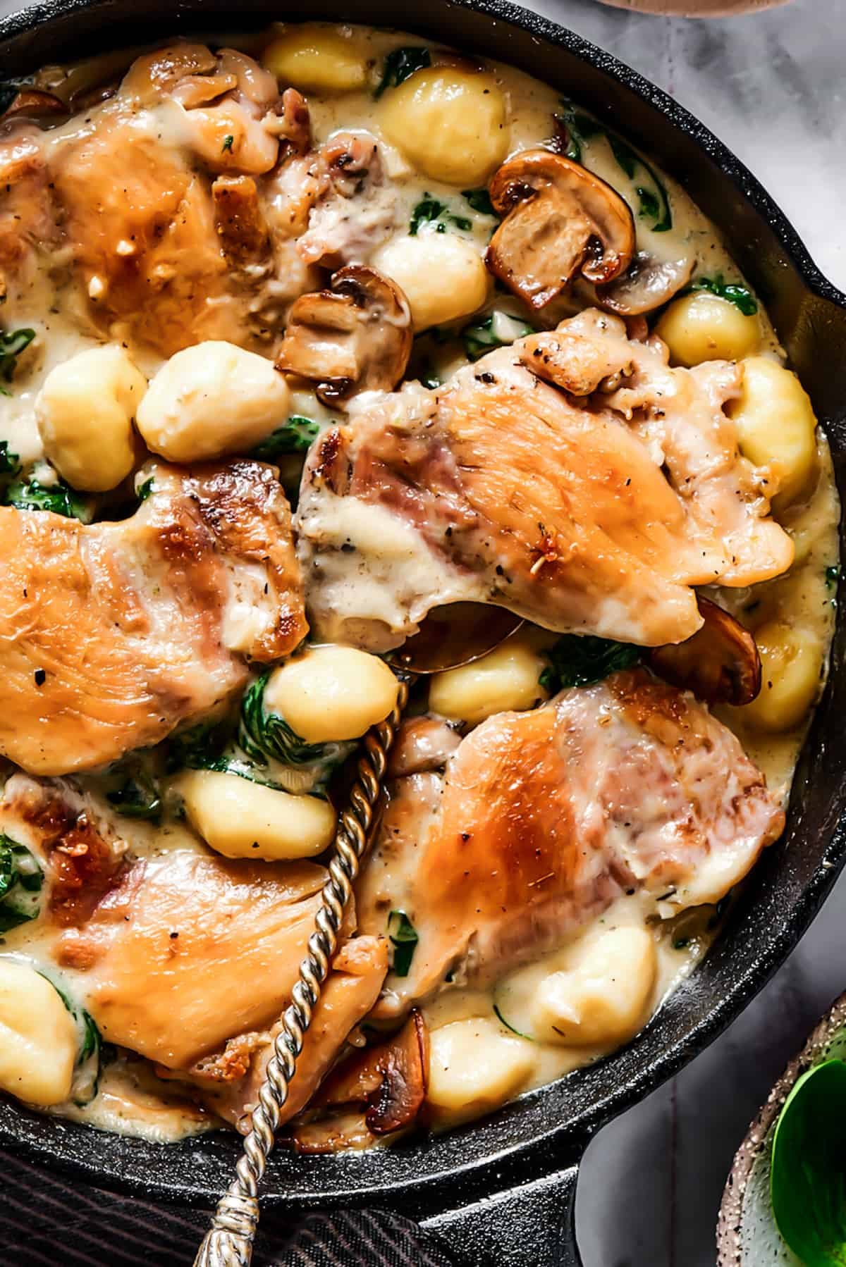 Close-up shot of chicken cooked with a creamy vegetable sauce.