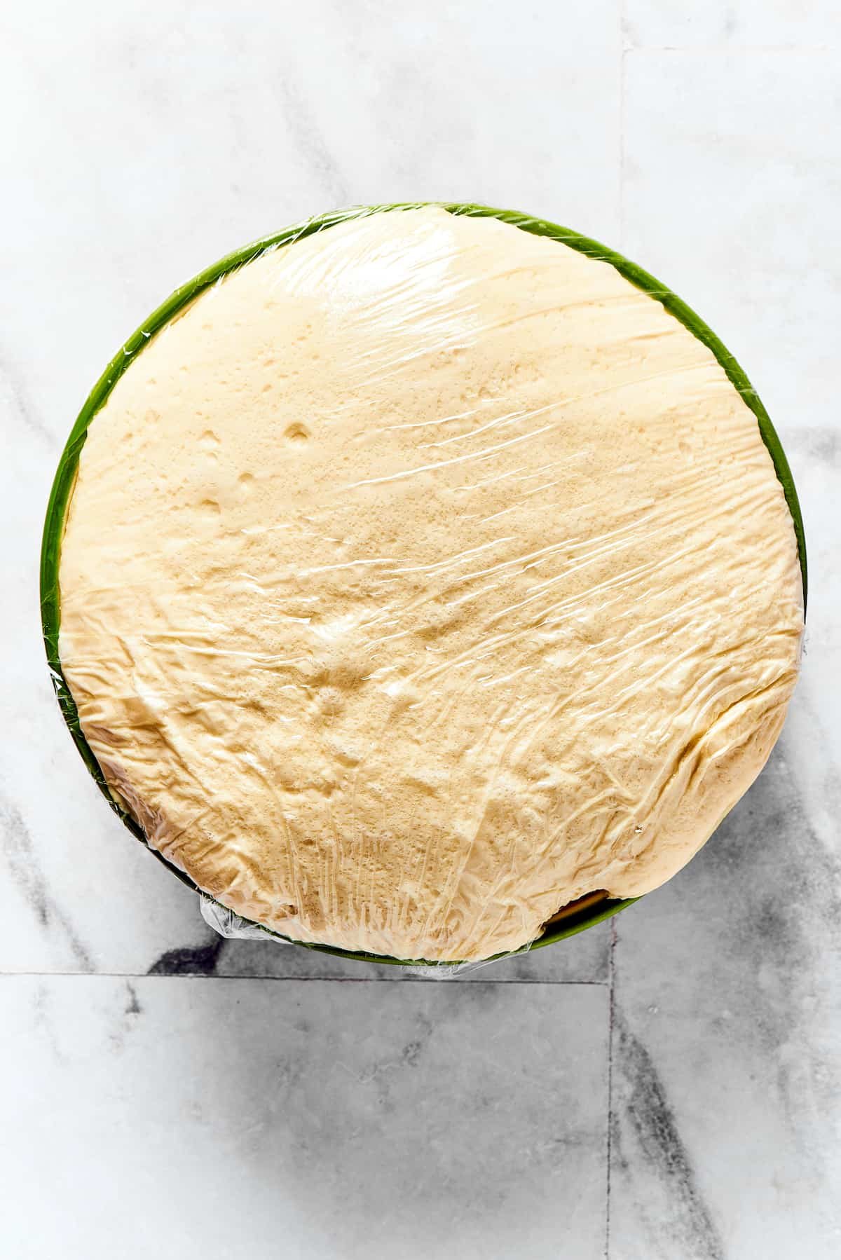 Risen dough in a mixing bowl.