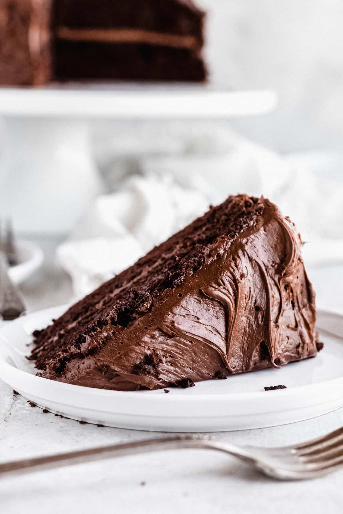 A Piece of Frosted Chocolate Cake on a Plate with the Rest of the Cake Behind it