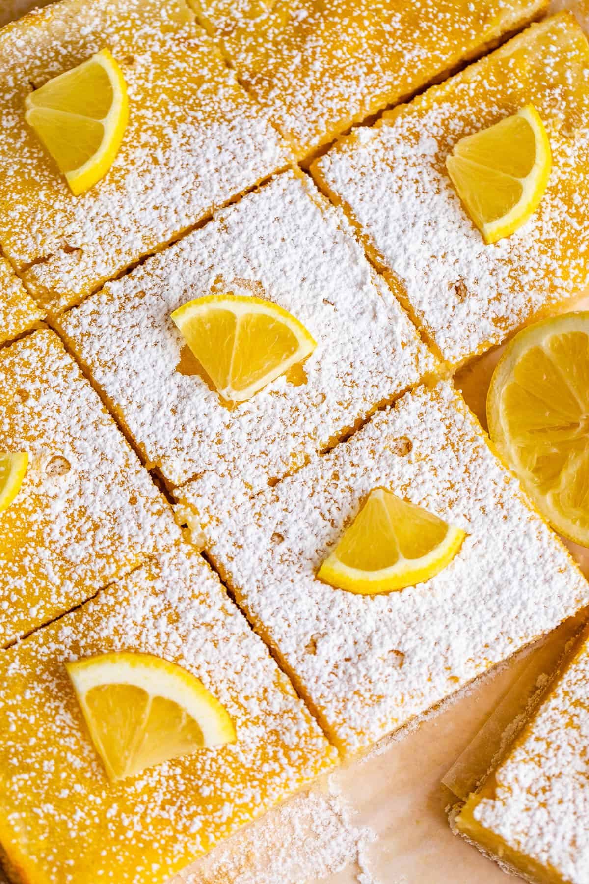 close up of cut lemon squares dusted with powdered sugar and topped with lemon slices