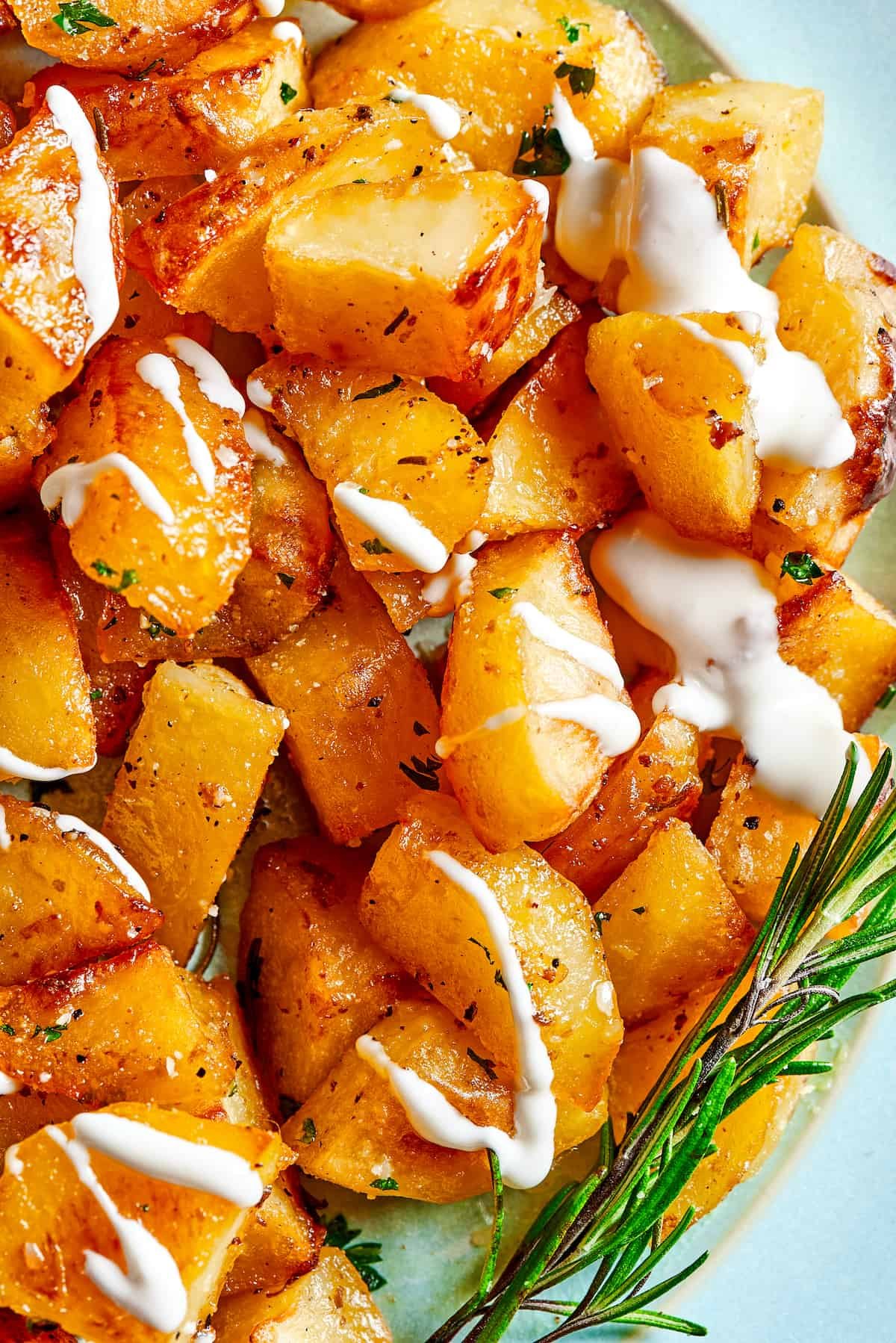Close up shot of roast seasoned potatoes garnished with rosemary and yogurt.