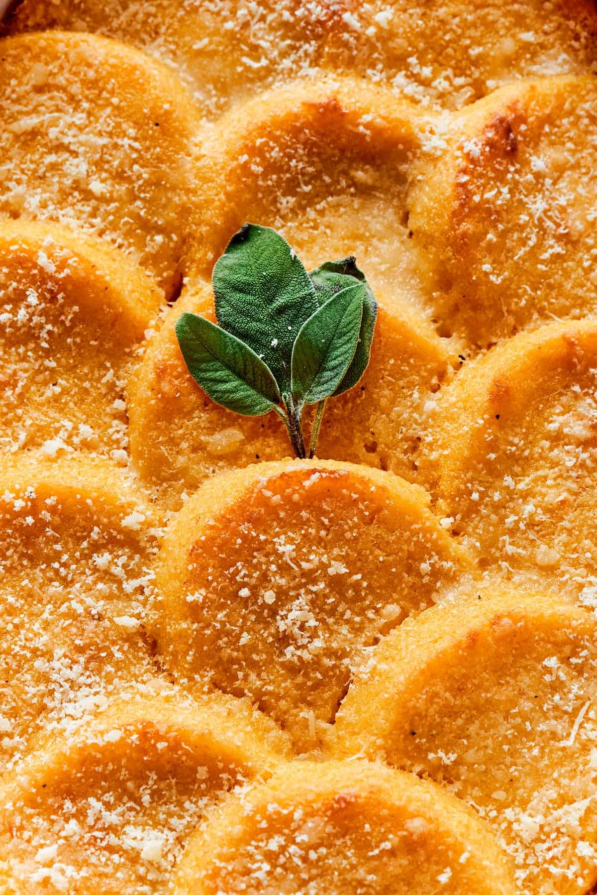 Close-up shot of layered semolina gnocchi, baked crispy with parmesan cheese and garnished with sage.