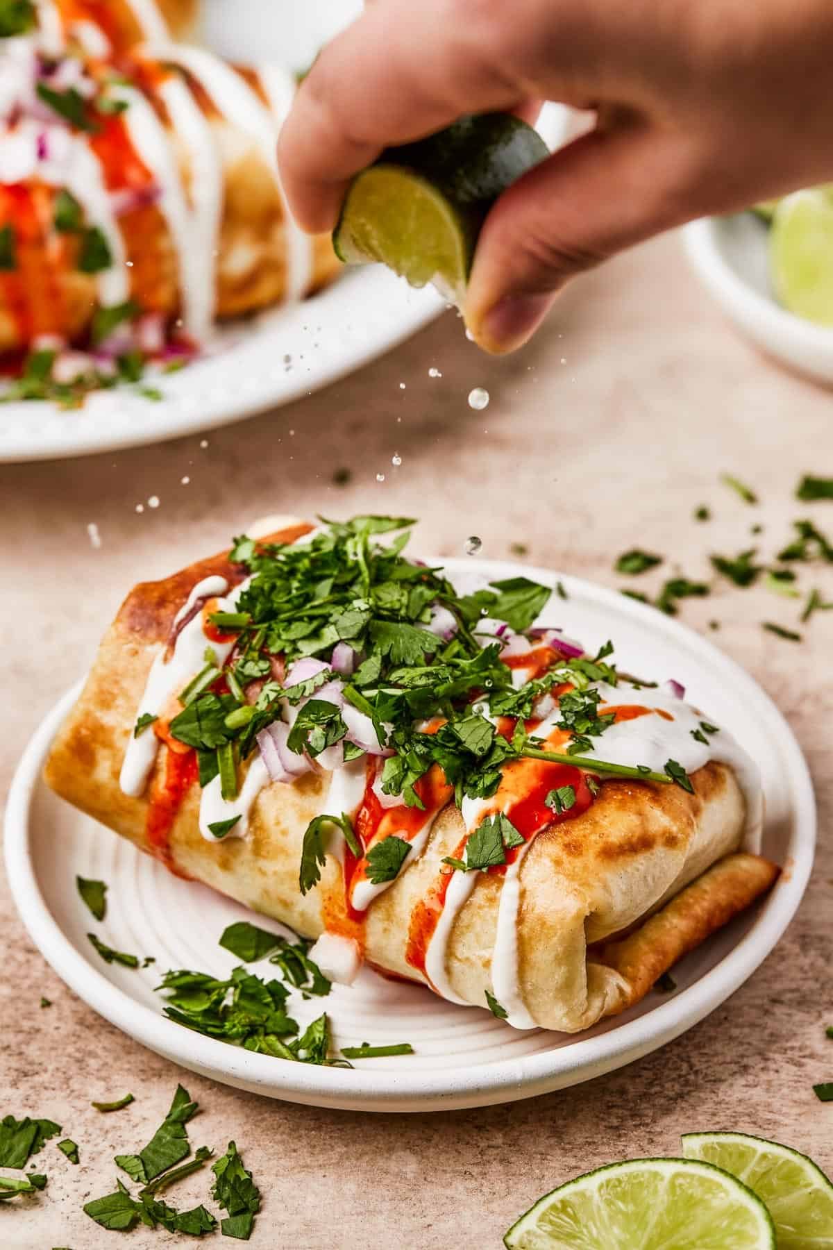 Close-up shot of fried burritos with toppings.