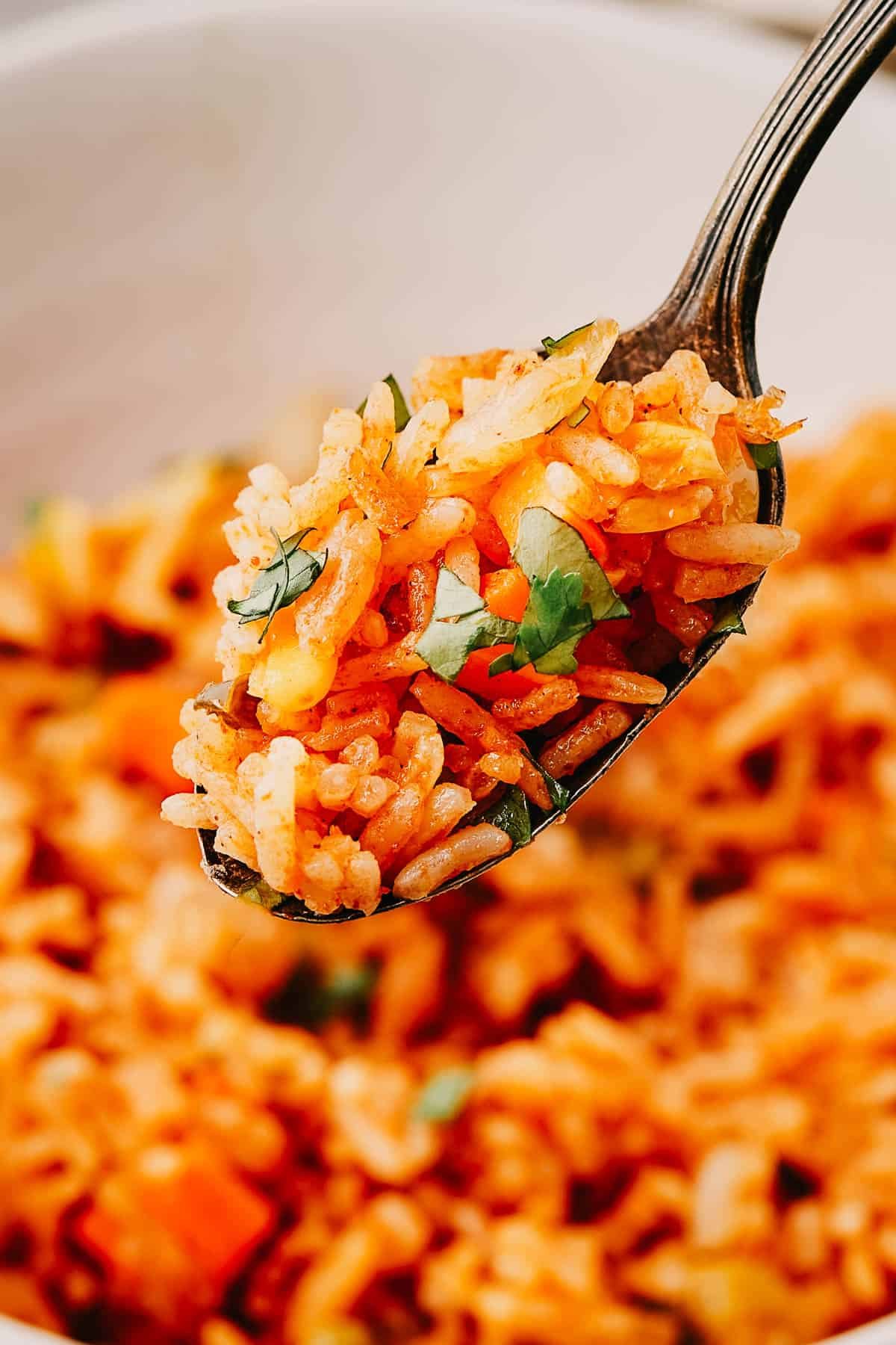 A spoon lifting a bite of rice out of a bowl.