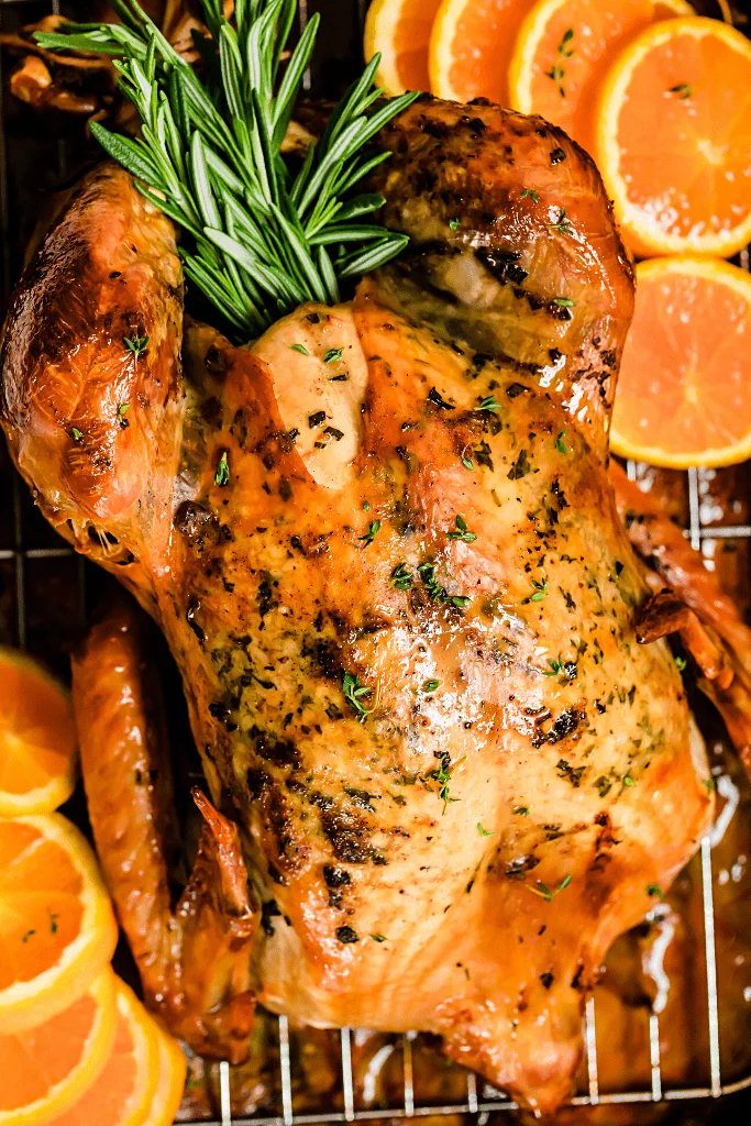 overhead close up shot of a whole roasted turkey on a roasting pan