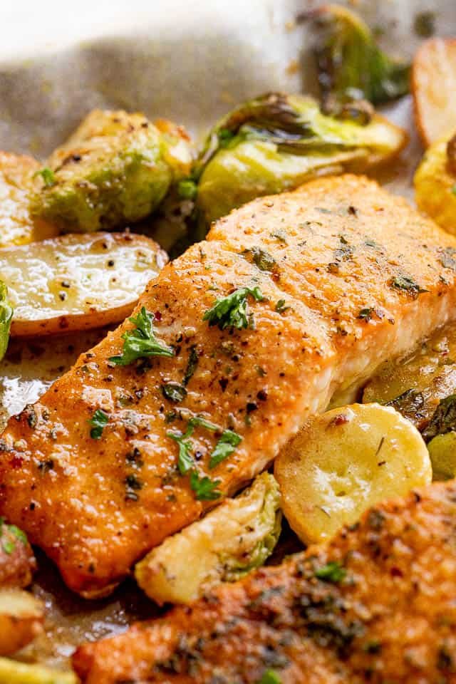 close up shot of roasted salmon fillets with brussel sprouts and yellow squash