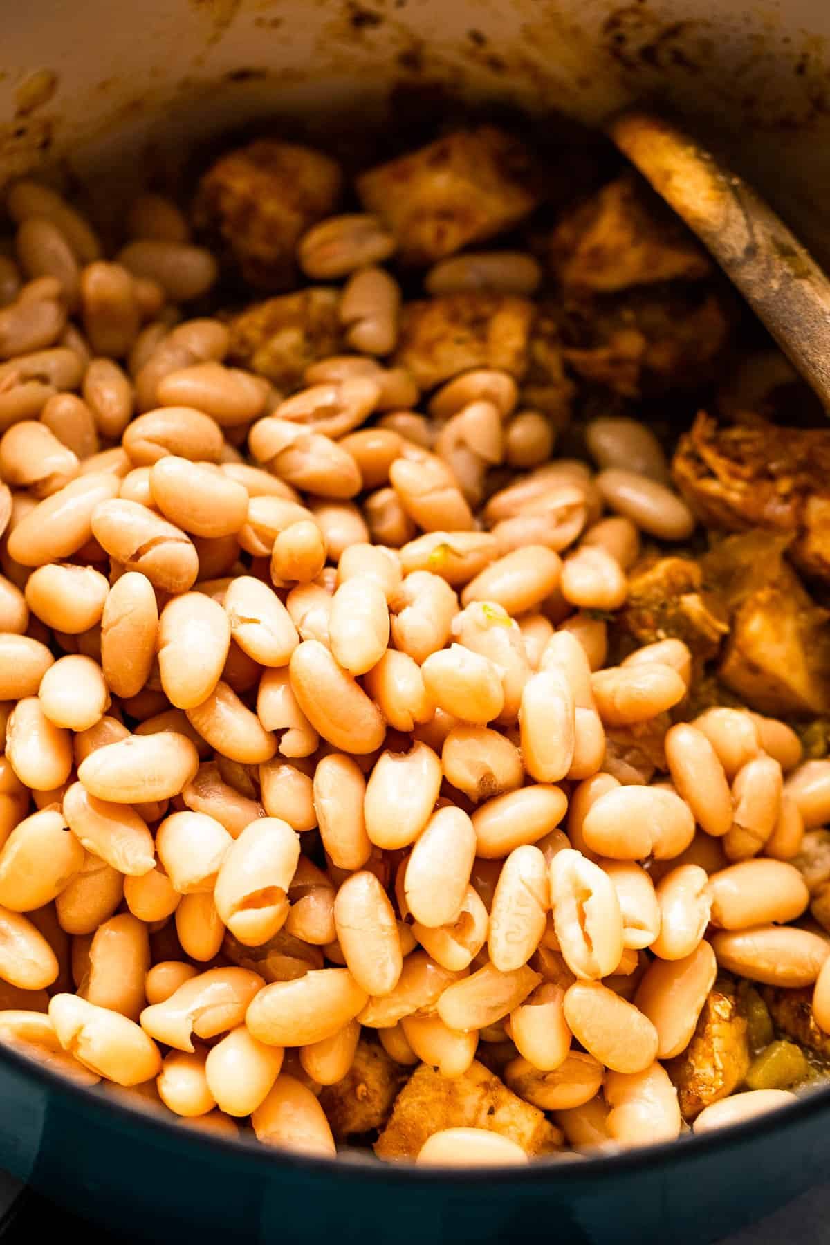 cooking chicken pieces and beans in a pot