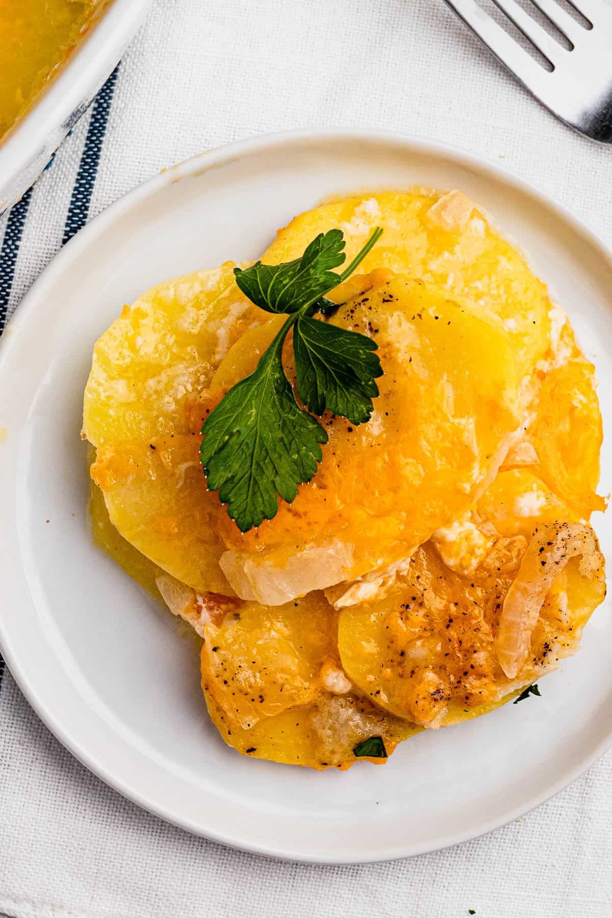 A small dish with a serving of cheesy sliced potatoes.