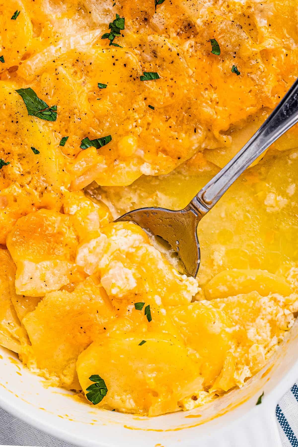 spoon scooping out scalloped potatoes from a white casserole dish