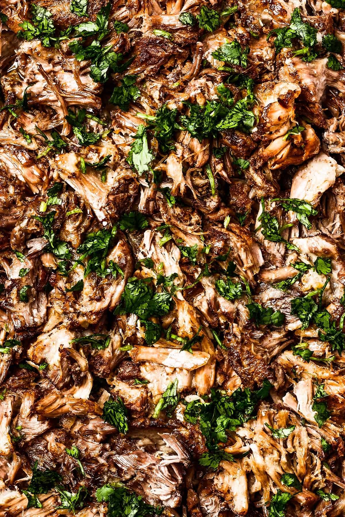 Crispy pork carnitas, garnished with fresh cilantro.