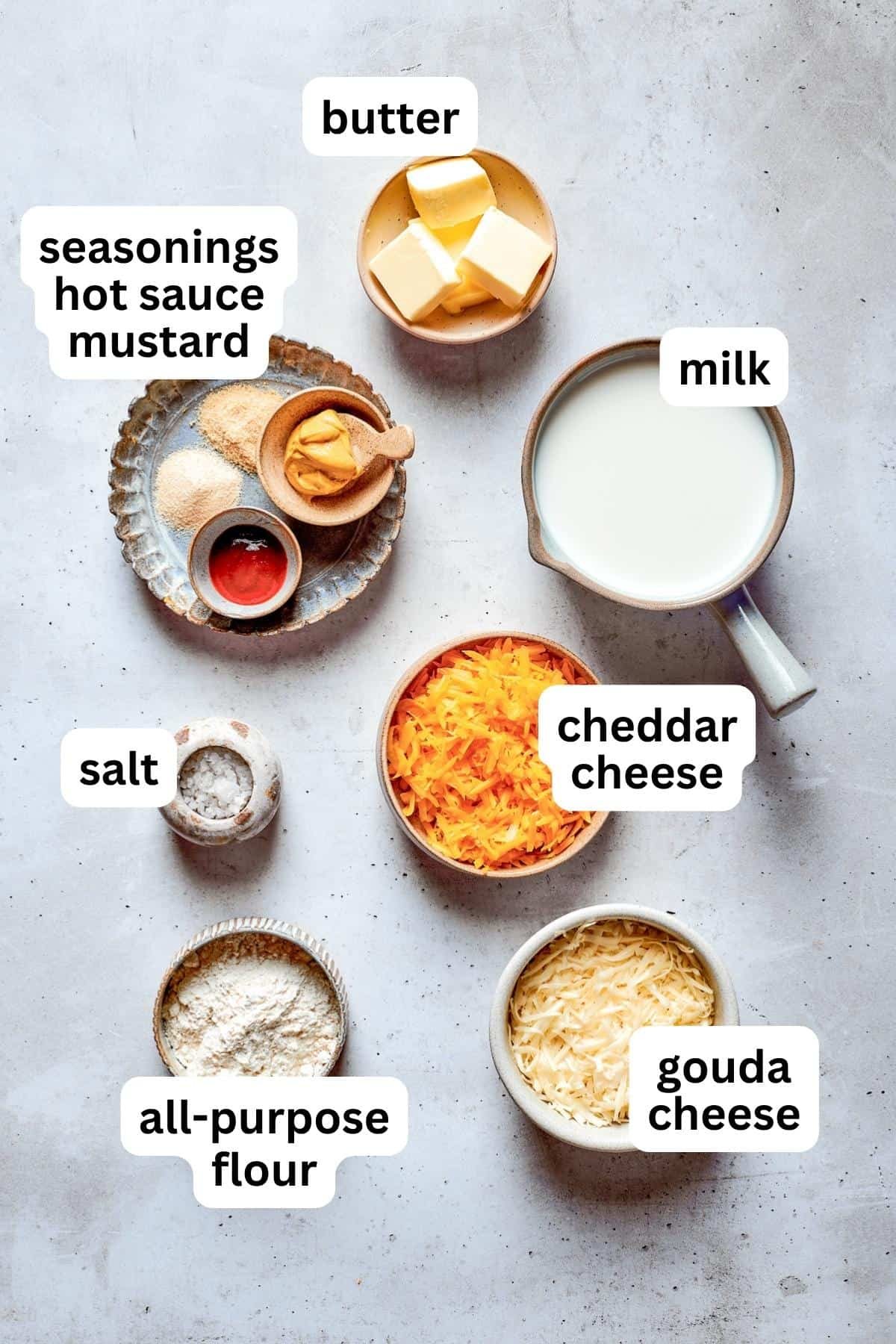 Ingredients to make pretzel dip are shown portioned out: cheese, milk, mustard, onion powder, salt, garlic powder, and cayenne pepper.