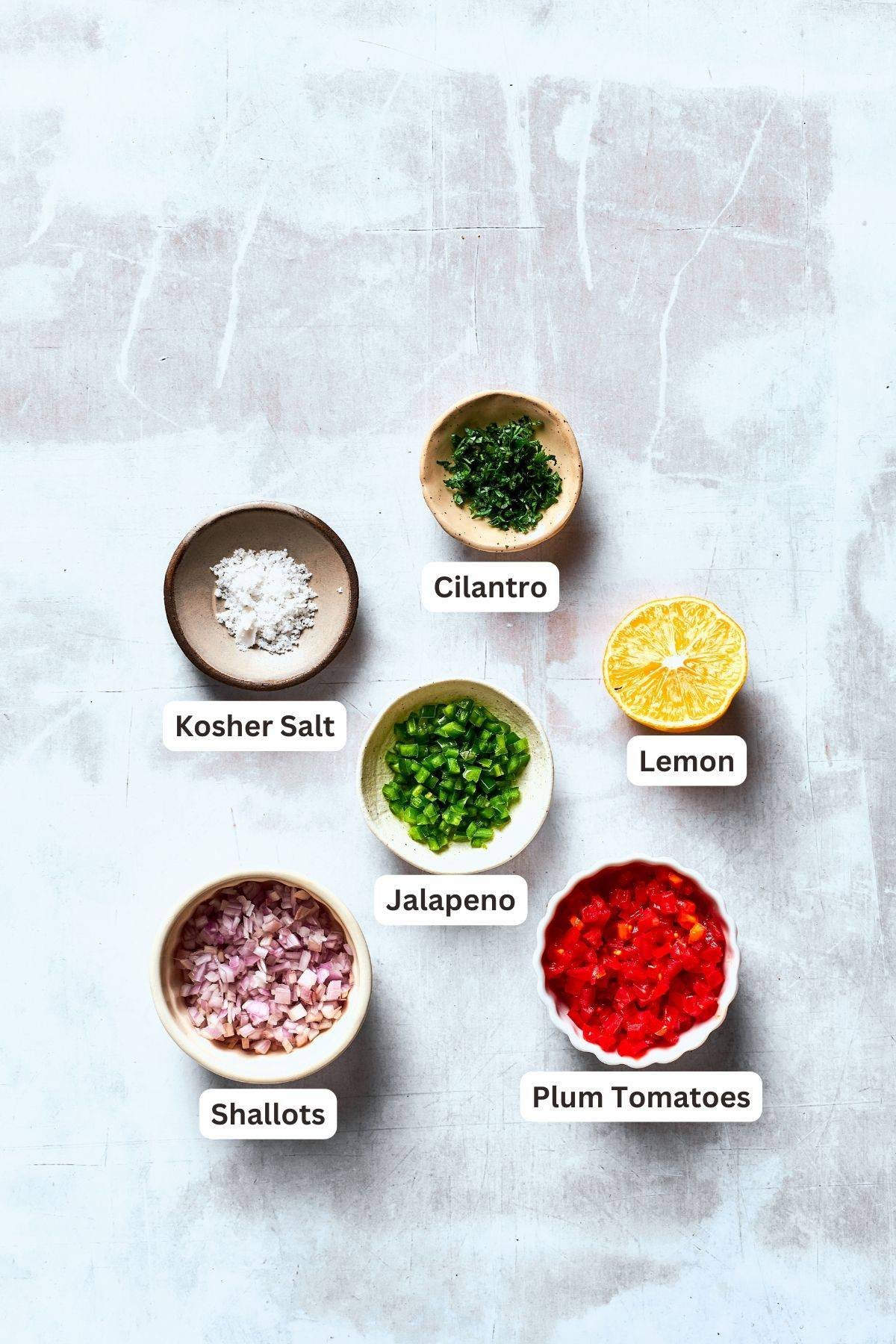 Ingredients for pico de gallo are shown portioned out: chopped tomatoes, onion, garlic, lemon, salt.