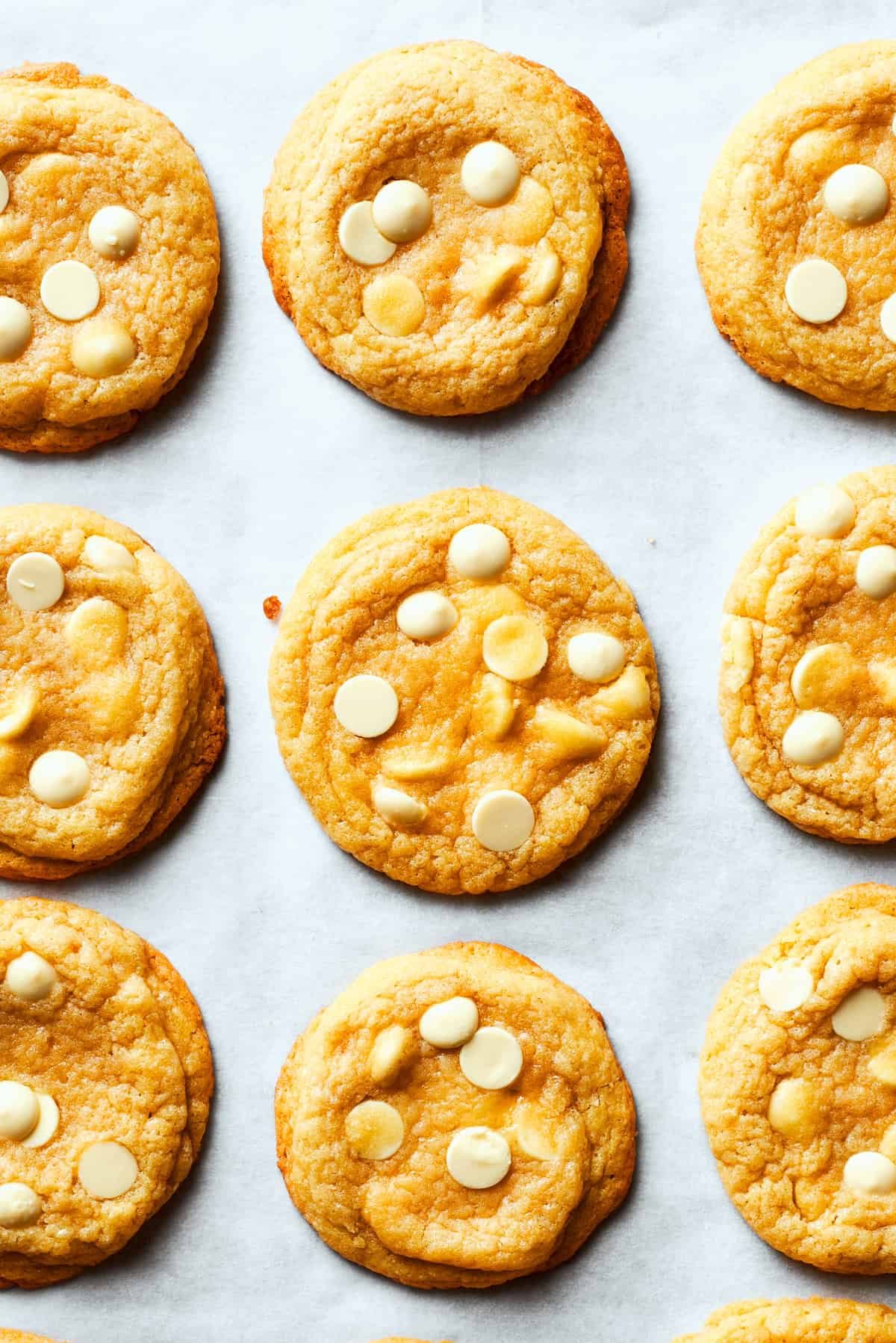 Nine cookies arranged neatly on a white background.
