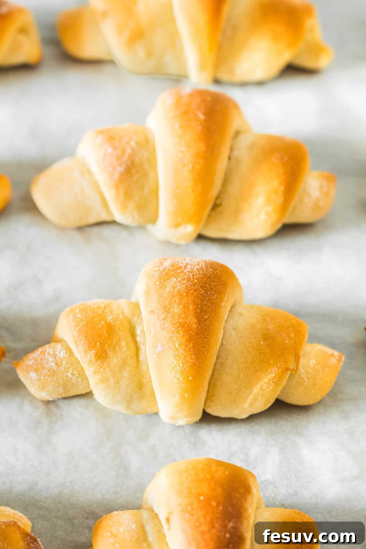 Buttery Homemade Crescent Rolls 11 A neat row of perfectly baked golden crescent rolls, cooling on a parchment-lined baking sheet.