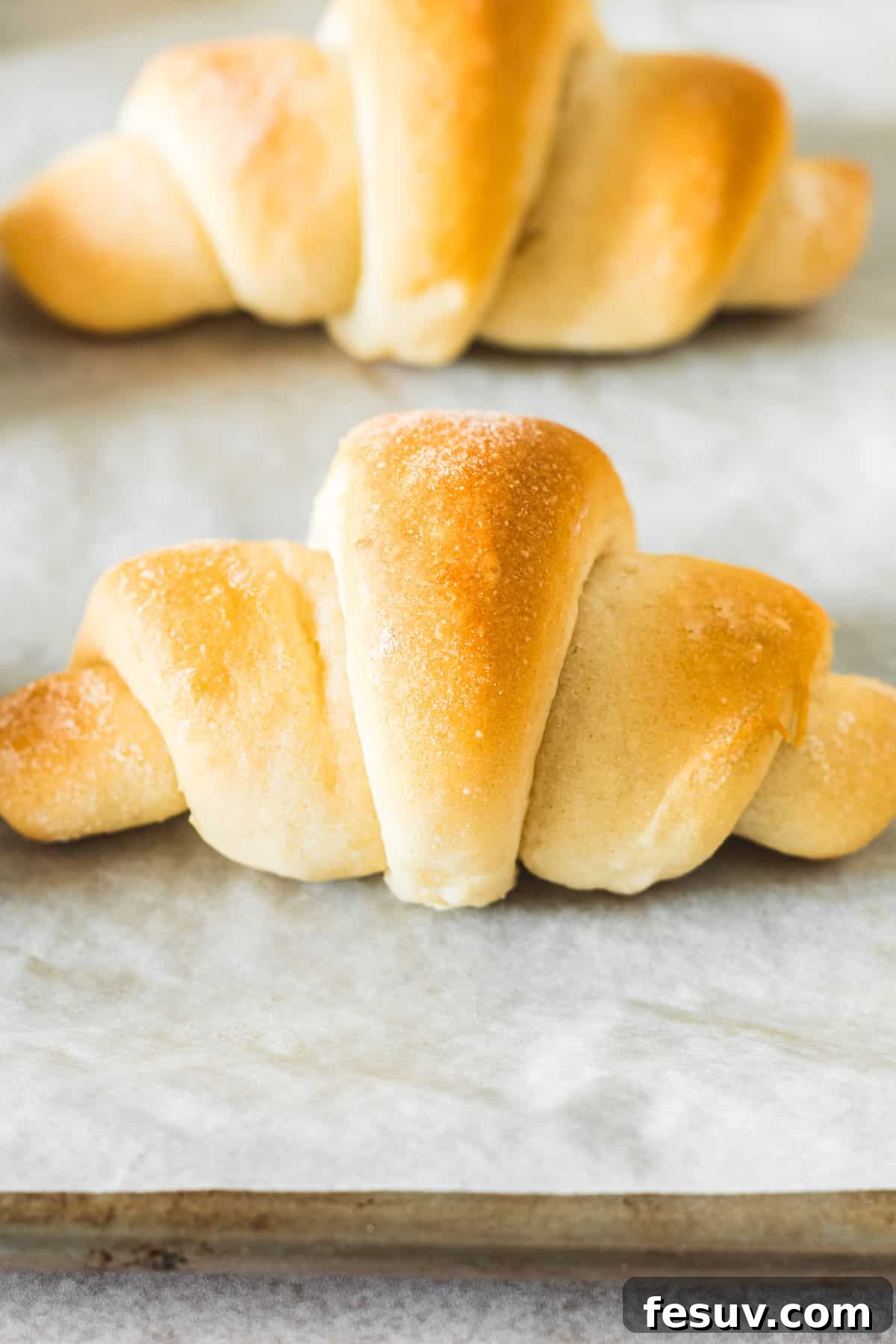 Buttery Homemade Crescent Rolls 3 Close-up shot of two perfectly shaped and baked golden crescent rolls, showing their soft texture.