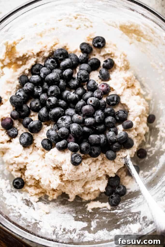 Gently folding blueberries into scone dough. folding blueberries into a batter for blueberry scones