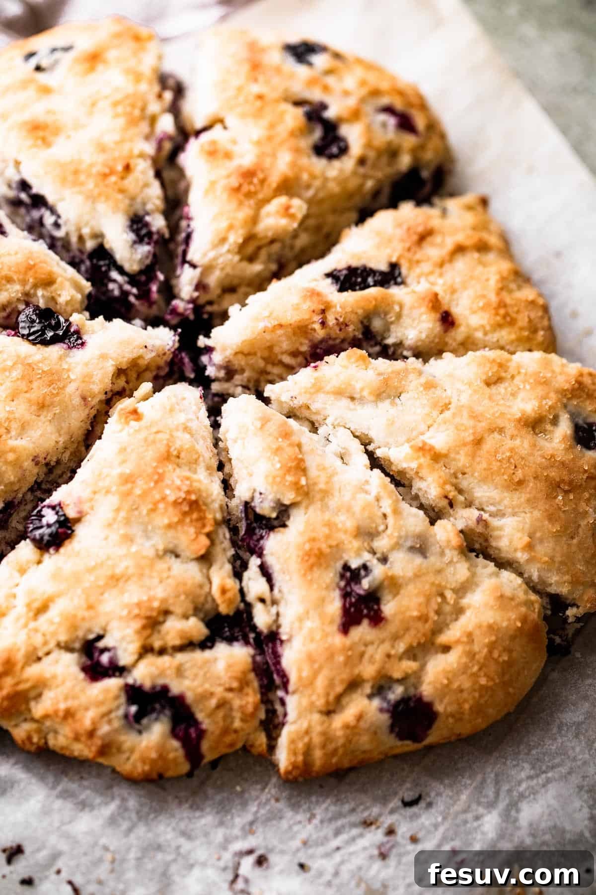 Freshly baked blueberry scones, ready to be glazed. a round loaf cut into eight scones