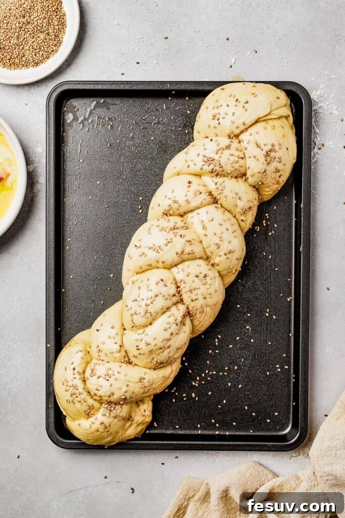 Golden Braids of Challah Perfection 9 An unbaked challah loaf on a sheet pan, brushed with a glistening egg wash and generously sprinkled with sesame seeds, poised for baking.