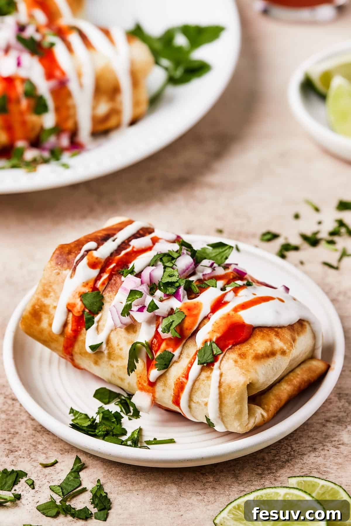 Close-up shot of fried burritos with toppings.