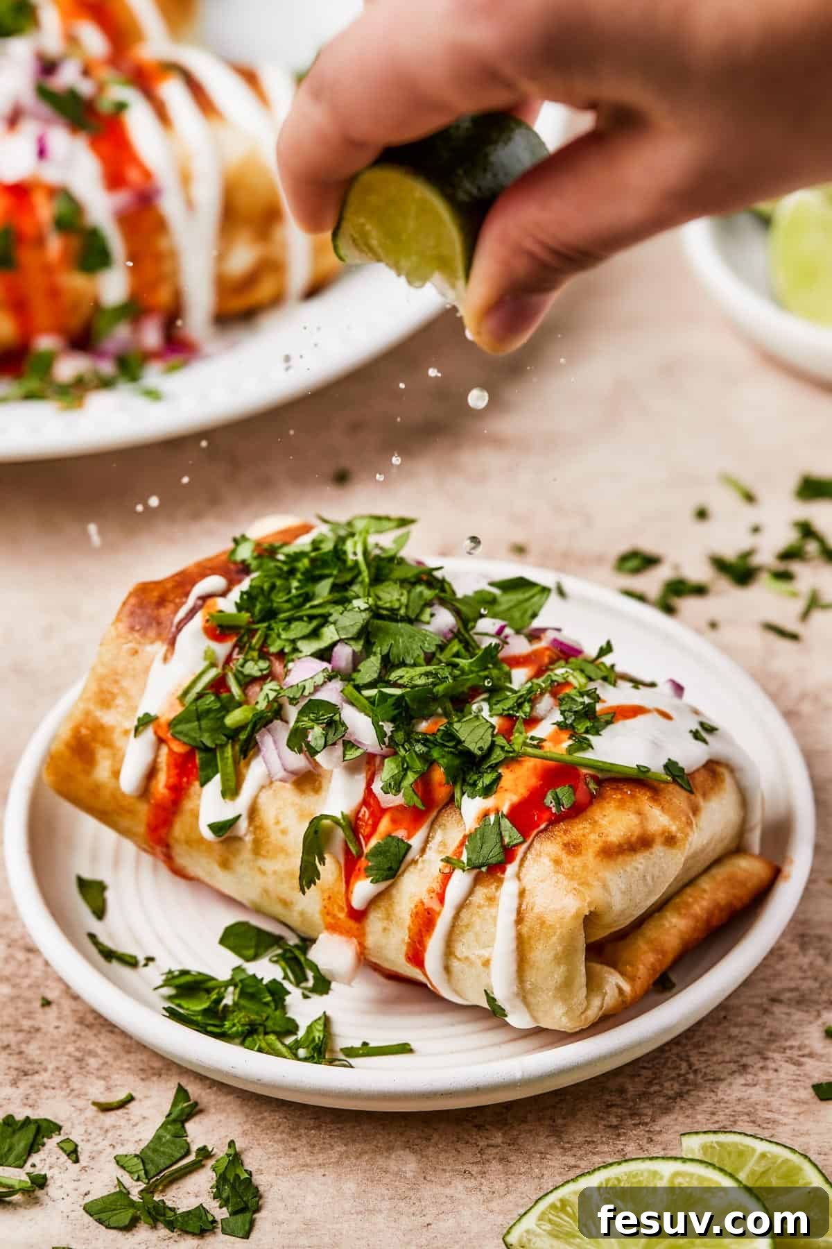 Close-up shot of fried burritos with toppings.