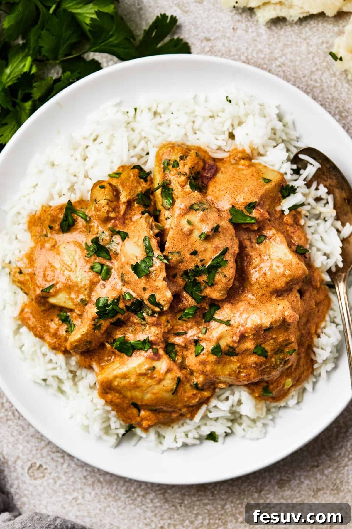 A serving of butter chicken over white rice.