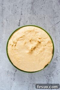Yeast dough that has risen to the top of its bowl.