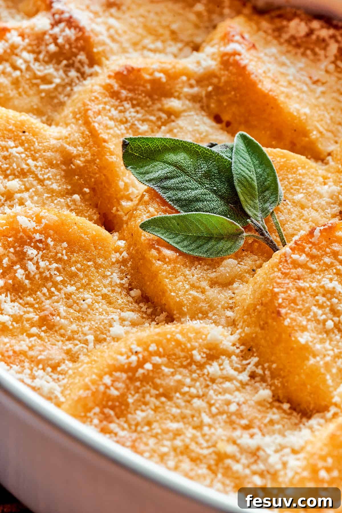 Close-up shot of baked Gnocchi alla Romana, highlighting the crispy Parmesan texture and tender interior.