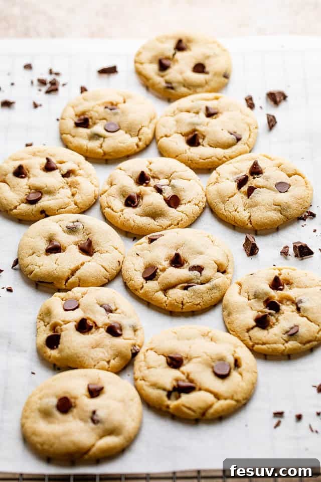 Freshly baked chewy chocolate chip cookies cooling on a baking sheet, showcasing their golden-brown edges and melted chocolate chips, ready to be enjoyed.