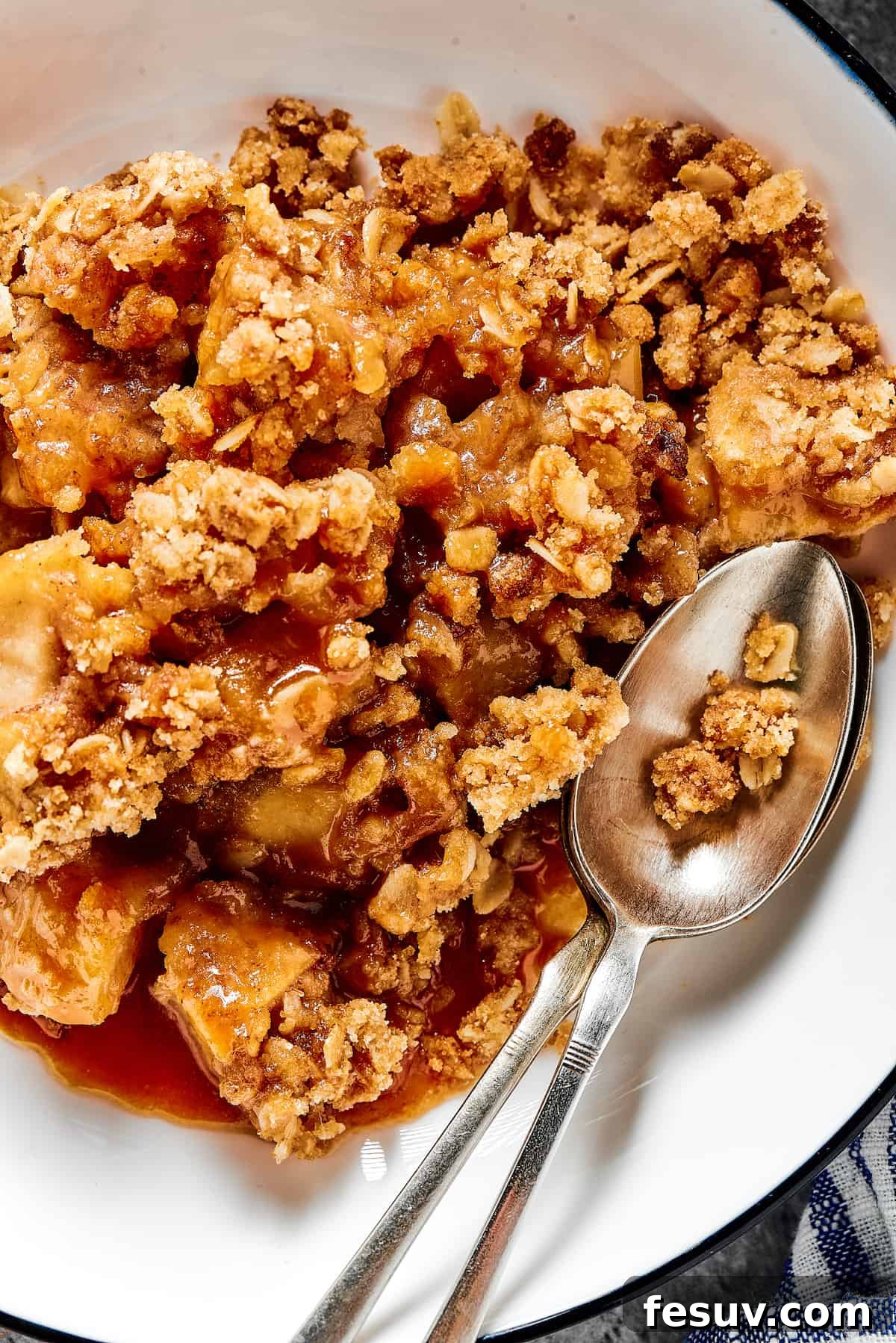 A close-up shot of a single serving of warm apple crisp in a rustic dessert bowl, with a spoon ready to dig in, showcasing the golden oat topping and tender apple filling.