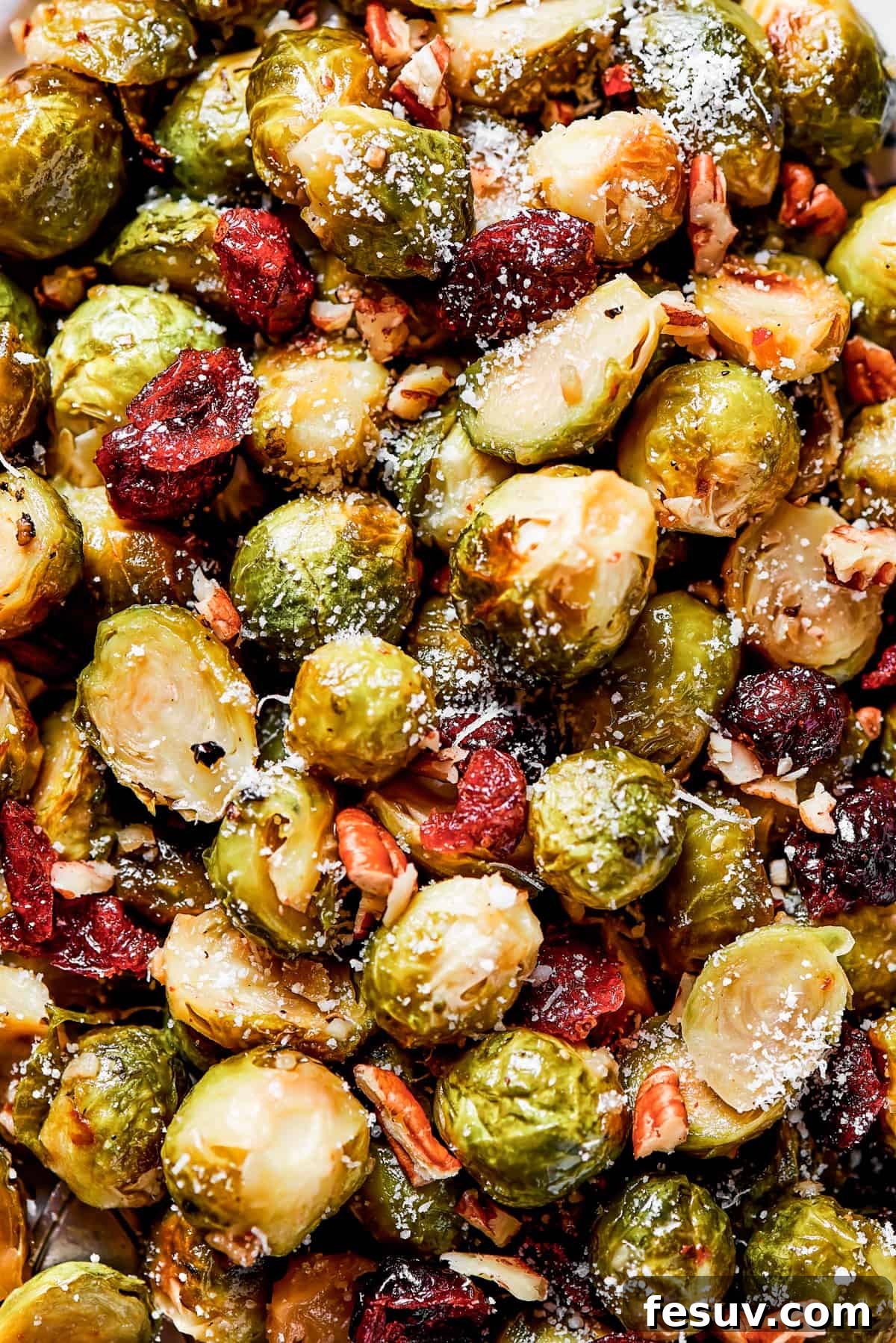 These Roasted Brussels Sprouts are oven-roasted with garlic and drizzled with a killer maple-pomegranate glaze. A veggie side you’ll crave! A close-up shot of glazed Brussels sprouts adorned with dried cranberries and chopped pecans, ready to be served.