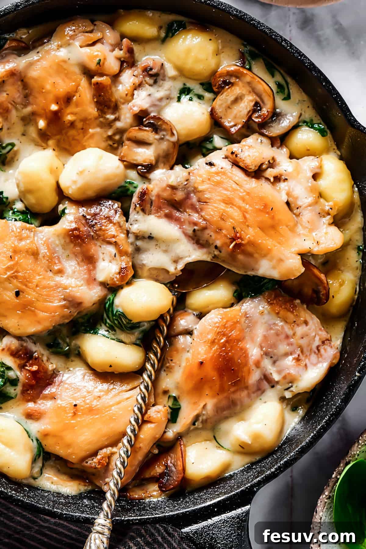 Creamy Chicken & Gnocchi is a bold, yet comforting combo of tender chicken, pillowy gnocchi, and flavorful spinach and mushrooms. Close-up shot of chicken cooked with a creamy vegetable sauce, showing tender chicken pieces and gnocchi.
