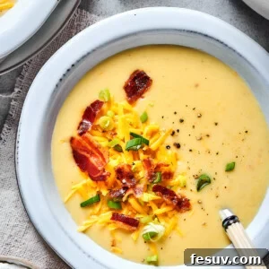 Baked potato soup topped with bacon, cheese, and chopped green onion.