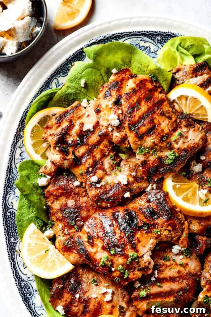 Presenting the finished yogurt marinated grilled chicken. A vibrant platter of golden-brown grilled chicken, perfectly cooked with distinctive grill marks, ready to be served.