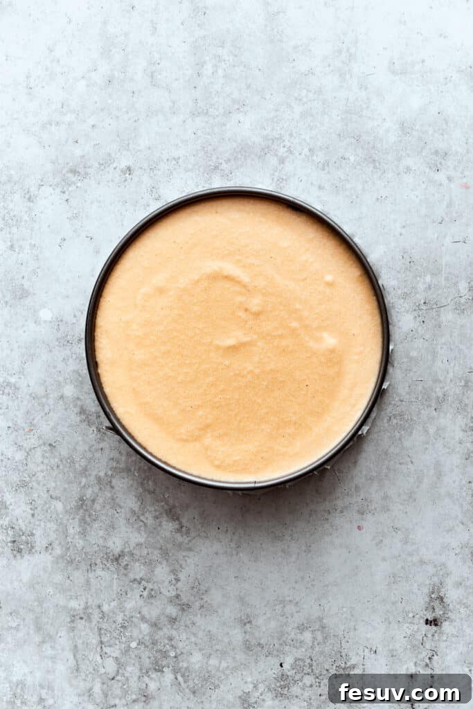 The final layer of plain cheesecake batter is smoothly spread over the chocolate layer, completing the assembly of the Turtle Cheesecake before baking.