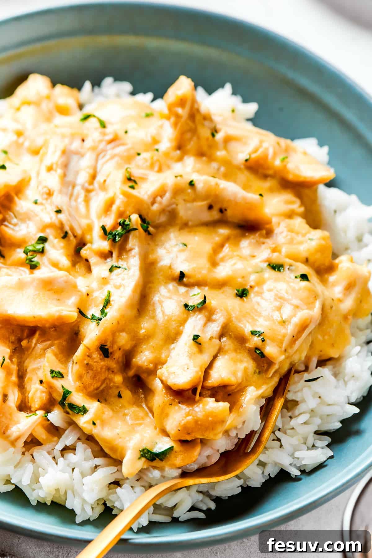 Close-up image of chicken and gravy served over rice on a dinner plate.