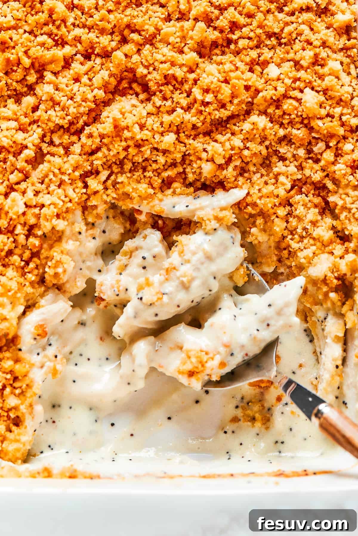 This creamy Poppy Seed Chicken casserole features a rich, poppyseed-flecked sauce that wraps cozily around tender shredded chicken. A casserole dish of golden brown poppy seed chicken, fresh out of the oven, ready to be served.