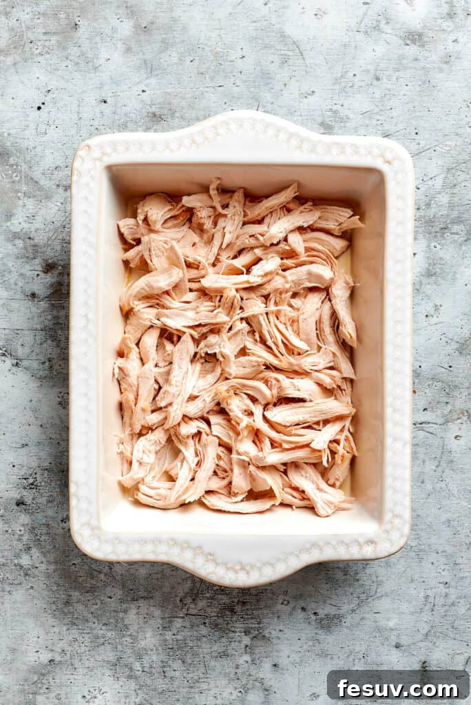 This creamy Poppy Seed Chicken casserole features a rich, poppyseed-flecked sauce that wraps cozily around tender shredded chicken. A baking dish neatly filled with a generous layer of shredded chicken, forming the base of the poppy seed chicken casserole before the sauce is added.