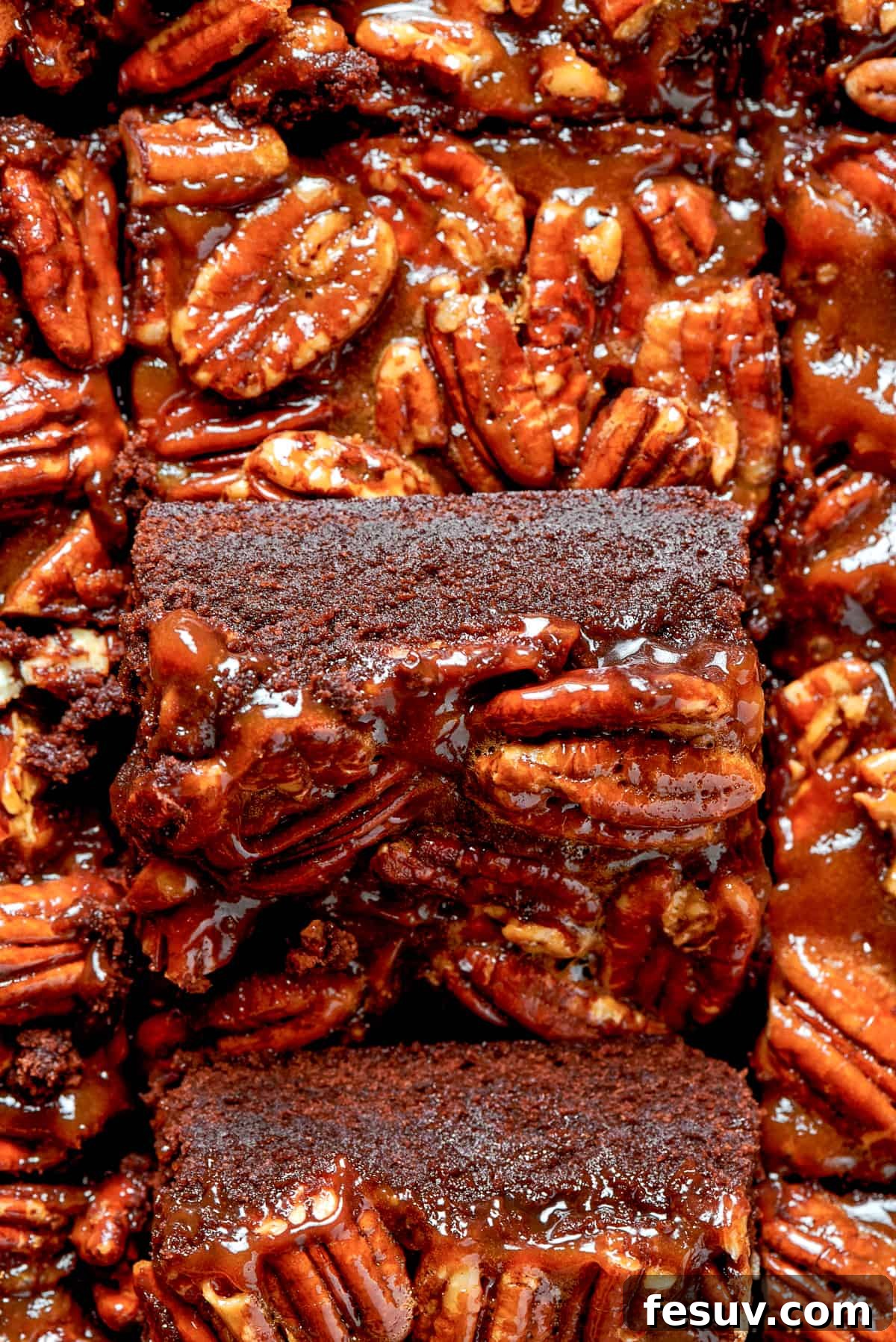 The irresistible detail of a single Pecan Pie Brownie slice. A close-up shot of a single pecan brownie square, highlighting its rich, gooey topping and perfect edges.
