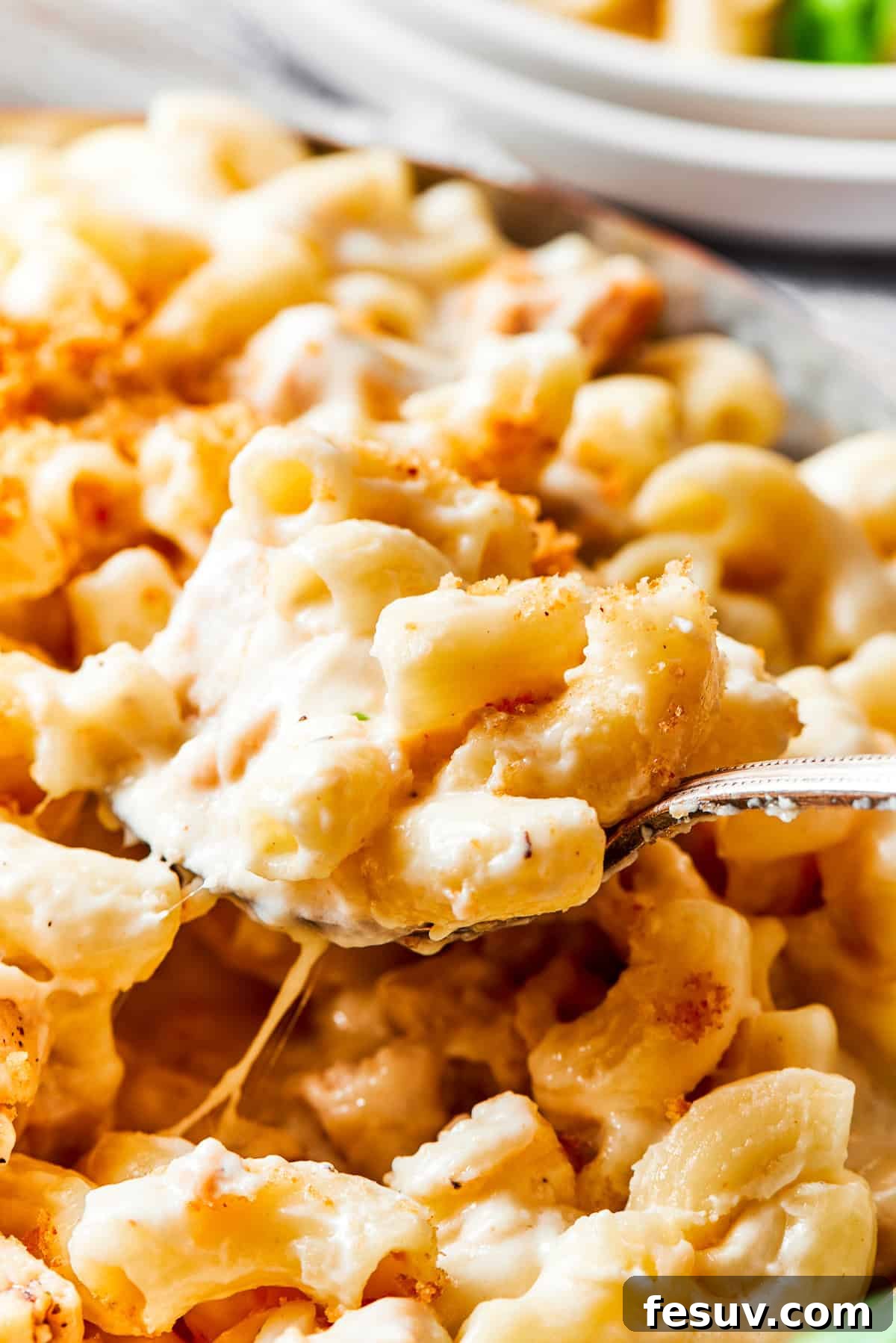 A serving of creamy Chicken Mac and Cheese being lifted by a spoon, showcasing the delicious cheese pull and hearty chicken pieces.