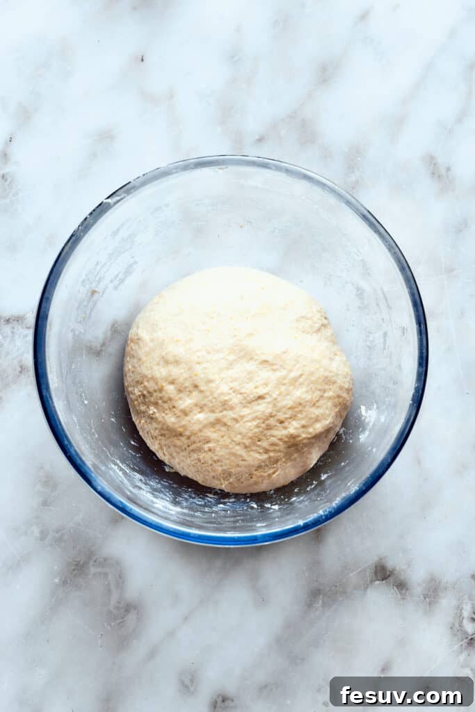Knead and allow the deep dish pizza dough to rise. A smooth, elastic ball of deep dish pizza dough rests comfortably in a glass bowl, covered with a damp cloth, awaiting its crucial rise.