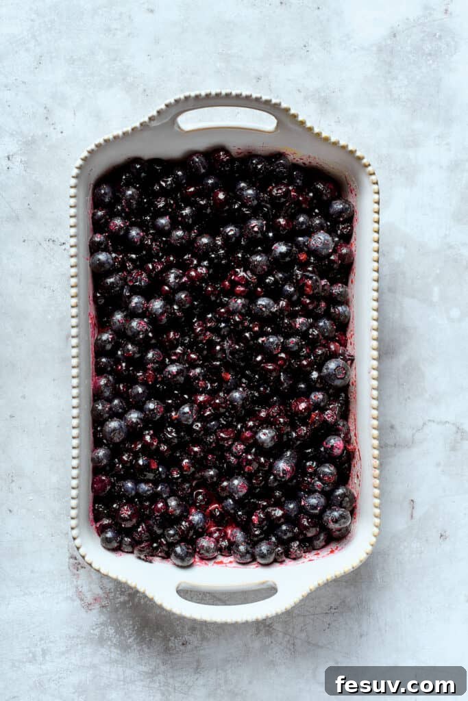Spreading the blueberry filling in the baking dish The vibrant blueberry filling mixture, prepared with sugar, lemon juice, and cornstarch, is evenly spread across the bottom of a baking dish.