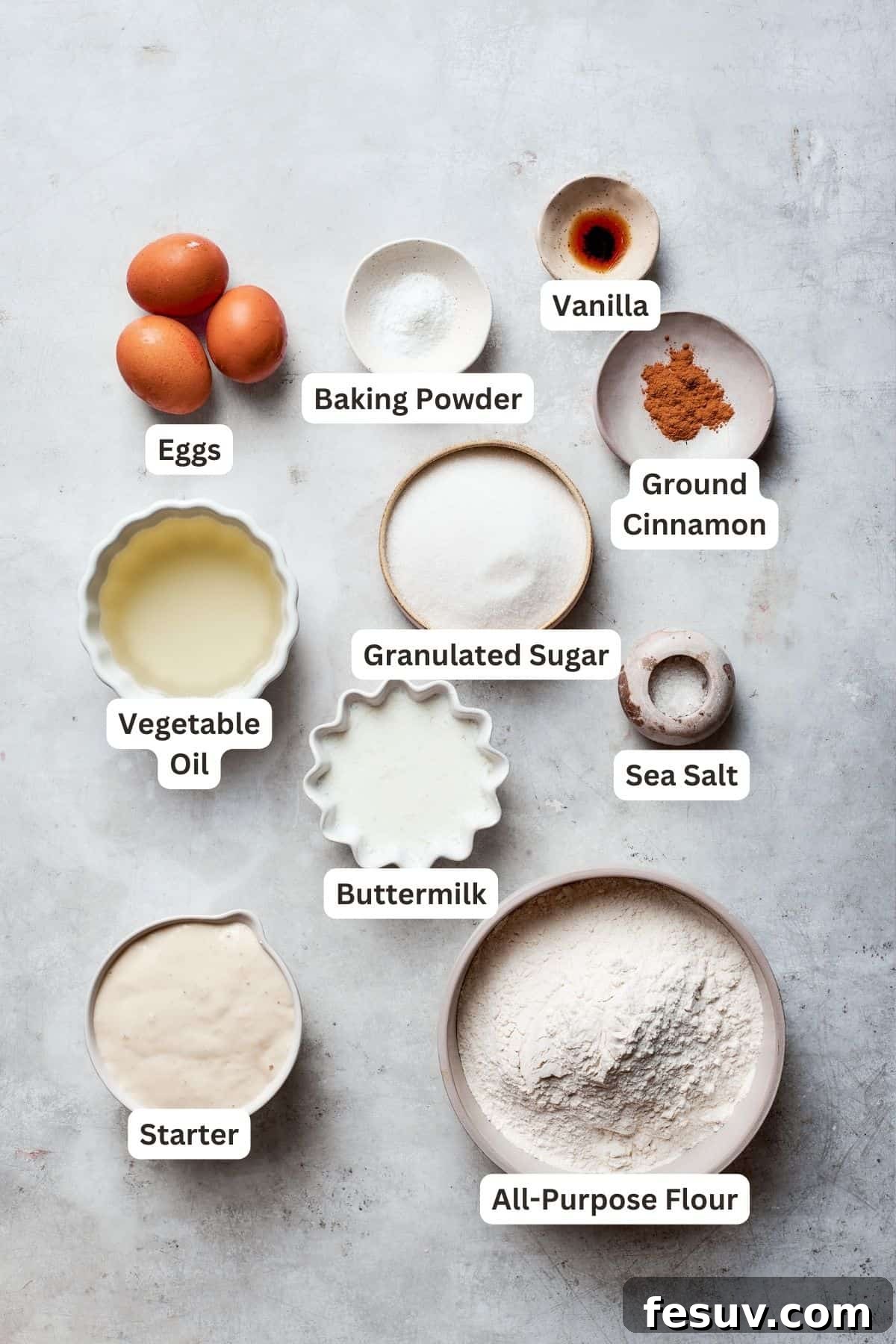 Amish friendship bread ingredients: flour, sugar, baking powder, eggs, cinnamon, salt, buttermilk, vanilla, and starter, neatly arranged.