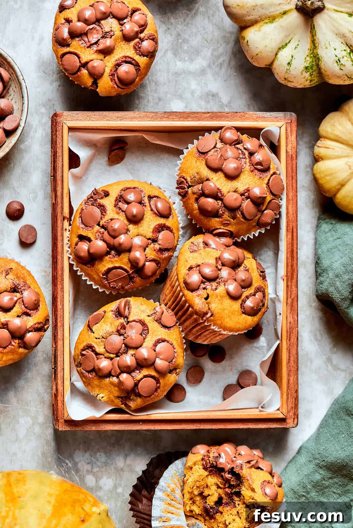 A tray of pumpkin chocolate chip muffins with mini pumpkins next to them, showcasing their soft texture and chocolate chips.