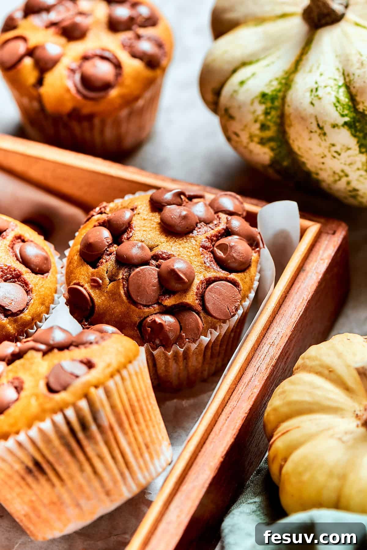 Chocolate chips are generously sprinkled on top of pumpkin muffins before baking, creating a tempting visual.