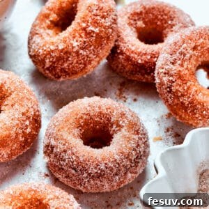 Cinnamon sugar sparkles on baked apple cider donuts.